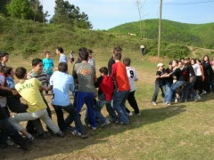 Sosyal Faaliyetler [4]