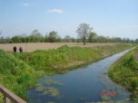 Sat�l�k Arsa