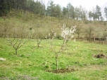 SATILIK 
VİLLALIK ARSA