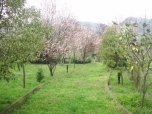 SATILIK 
İMARLI ARSA 