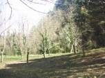SATILIK 
BAHÇE