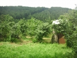 satılık 
fındıklık