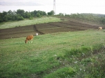 villalık 
arsa