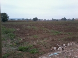 SATILIK
